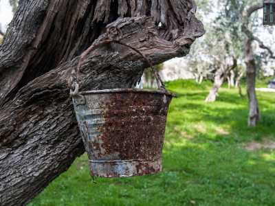 Su un ramo � invece appeso un vecchio secchio di rame. �Lo abbiamo scovato sottoterra mentre facevamo i lavori di ristrutturazione - ci racconta il proprietario Nicola Manzulli -. L�ho lasciato l� come traccia della storia secolare di questo edificio�